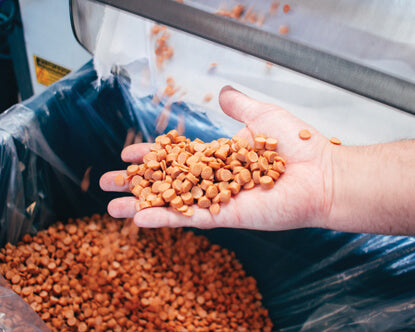 TENIS OUS HEVEA BRASILIENSIS MULTI COLORS